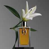 Paco Rabanne Midnight Sex