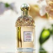 Guerlain Aqua Allegoria Ginger Piccante