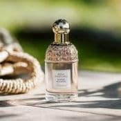 Guerlain Aqua Allegoria Ginger Piccante