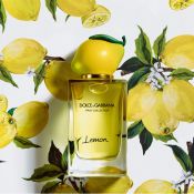 Dolce & Gabbana Lemon