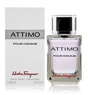 Описание Salvatore ferragamo attimo pour homme