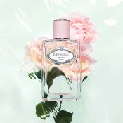 Prada Infusion de Rose