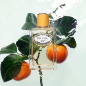 Prada Infusion Mandarine