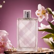 Burberry Brit Sheer