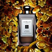 Jo Malone Incense Cedrat Cologne Intense