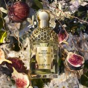 Guerlain Aqua Allegoria Forte Nerolia Vetiver