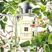 Jo Malone White Jasmine and Mint