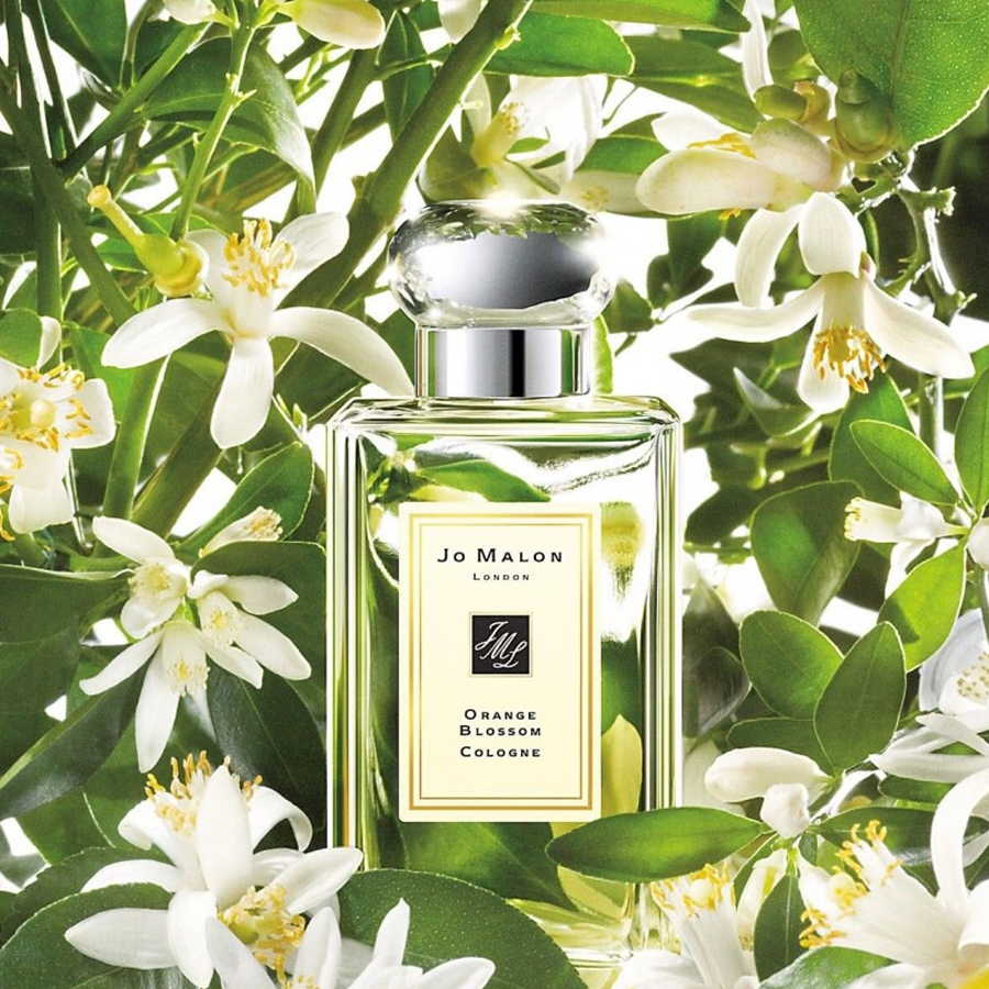 Jo Malone Orange Blossom духи. Парфюм Джо Малон Cologne. Jo Malone Orange Blossom 100 ml. Парфюм Джо Малон оранж блоссом. Неприятные духи