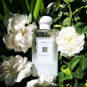 Jo Malone Star Magnolia