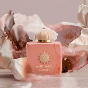 Amouage Guidance