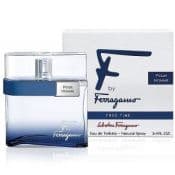 Описание Salvatore Ferragamo Free Time