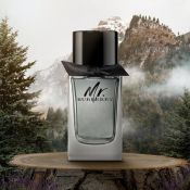 Burberry Mr. Burberry